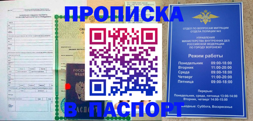 форма 3 в Петропавловске-Камчатском
